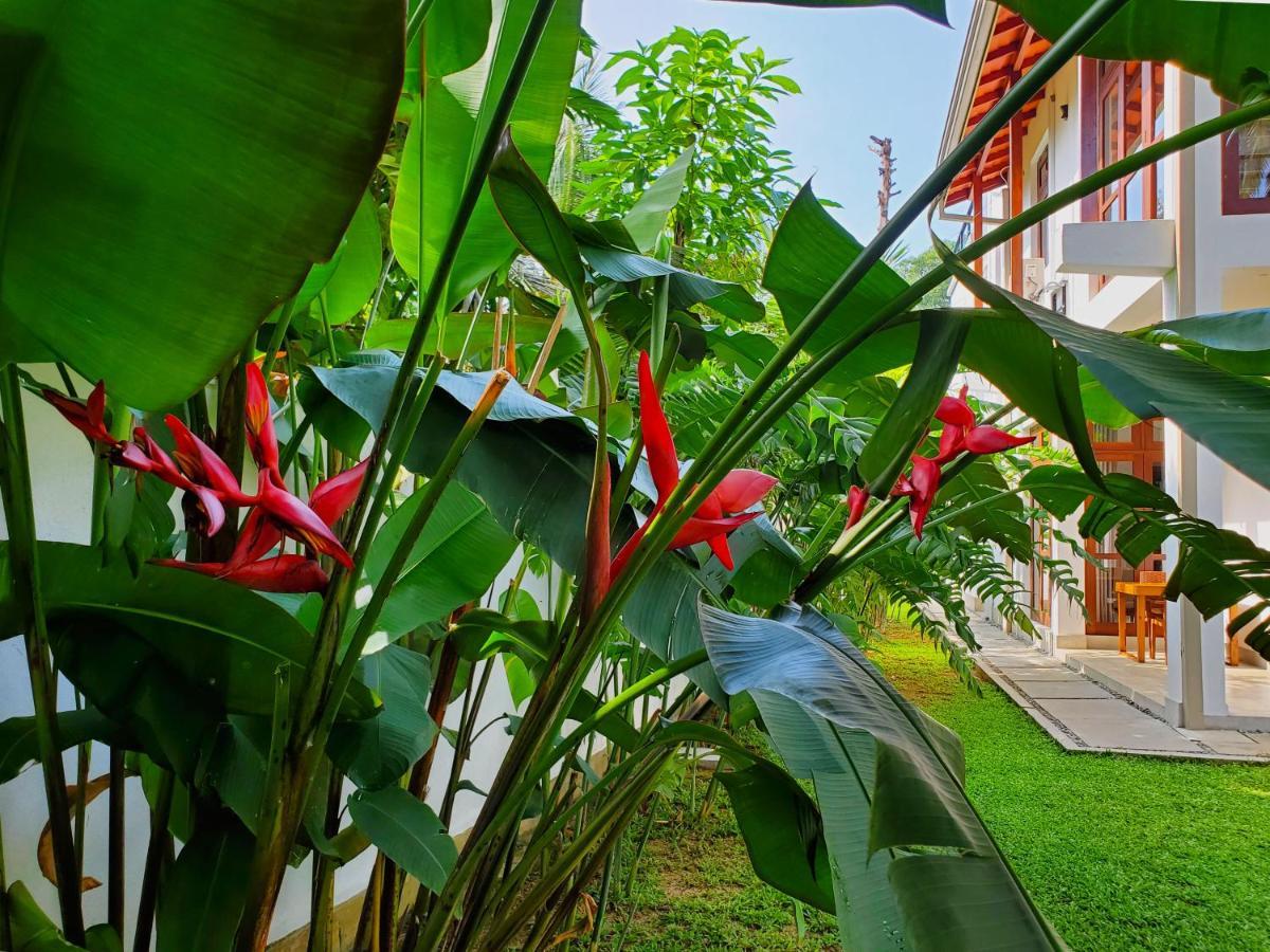 Privatunterkunft Ema Galle